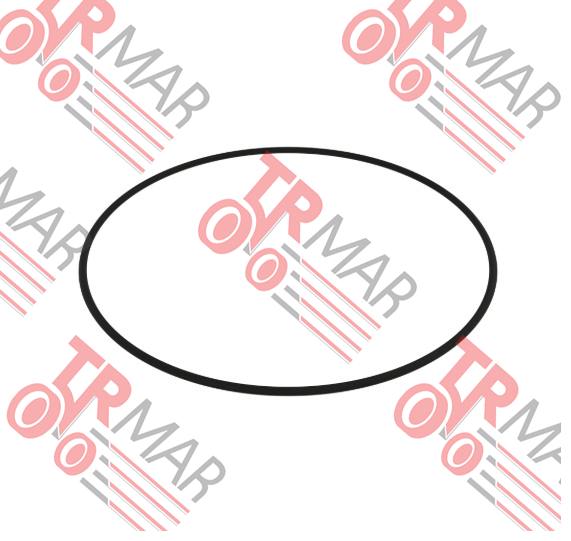 O-Ring