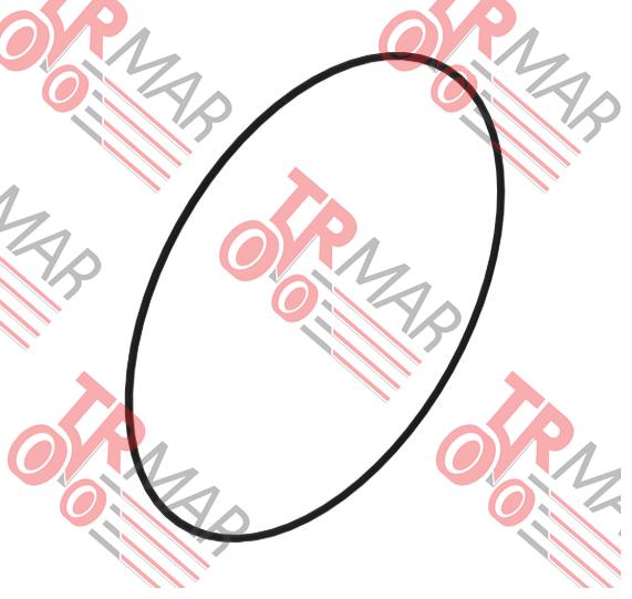 O-Ring