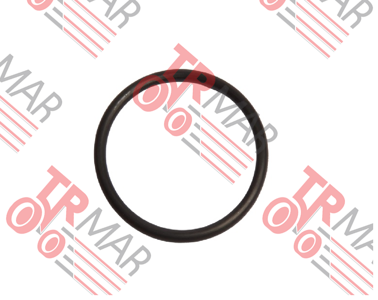 O-Ring