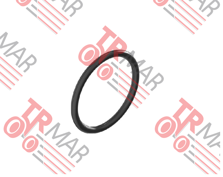O-Ring