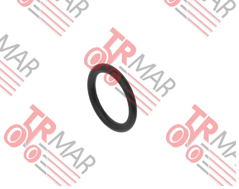 O-Ring