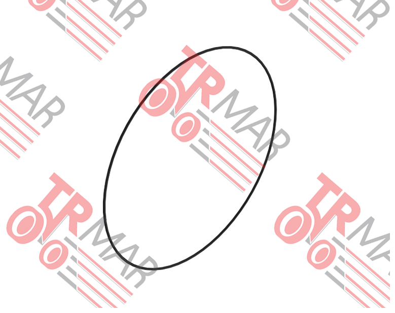 O-Ring