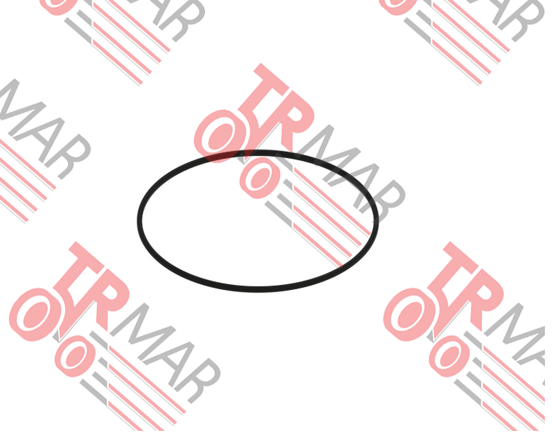 O-Ring