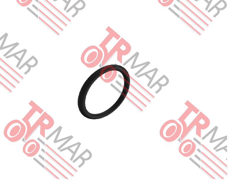 O-Ring