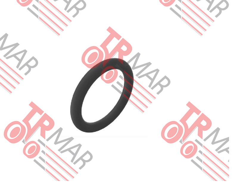 O-Ring
