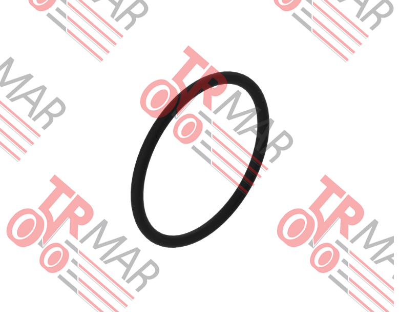 O-Ring