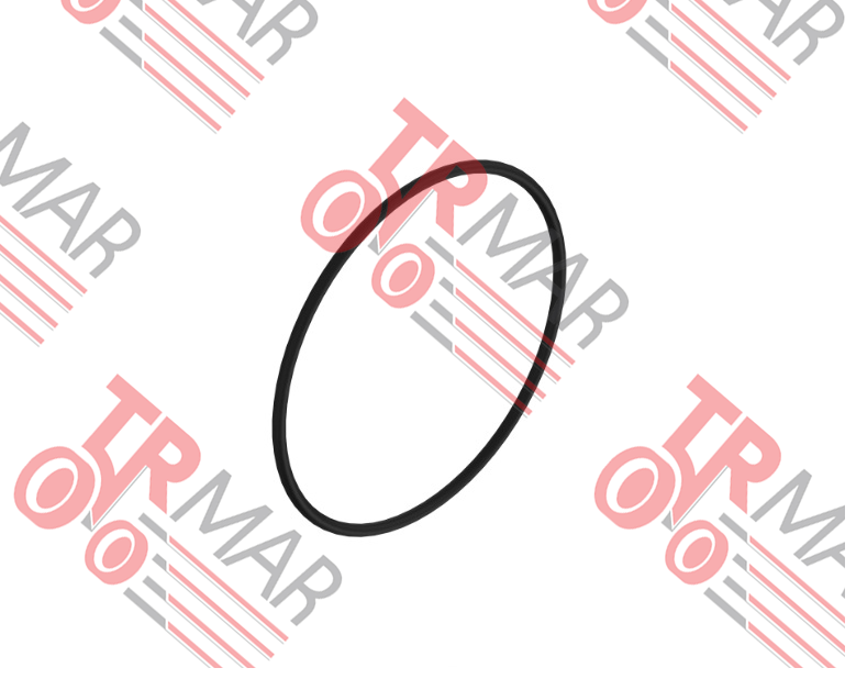 O-Ring
