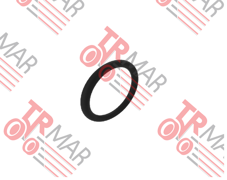 O-Ring