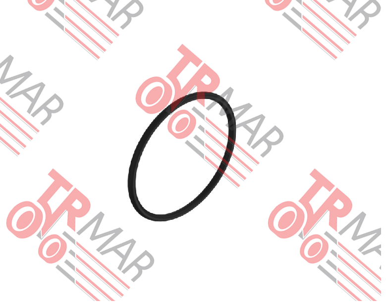 O-Ring