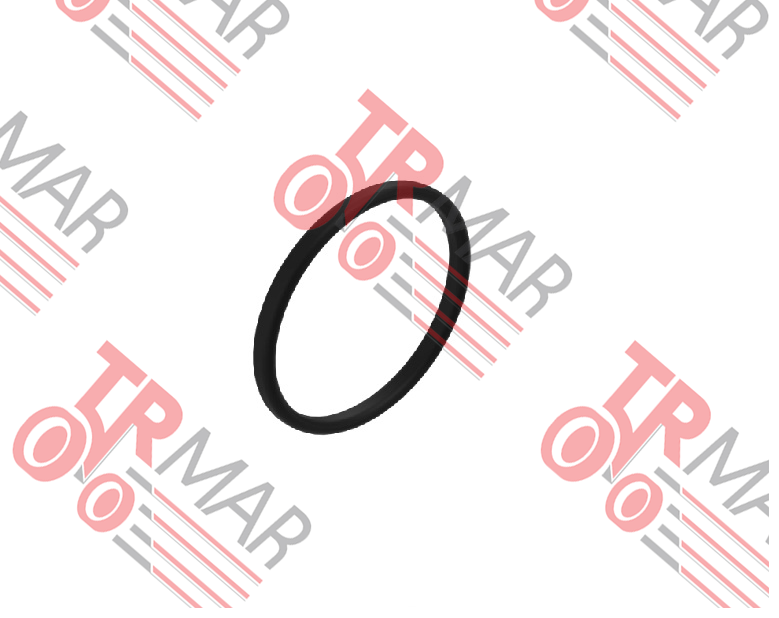 O-Ring