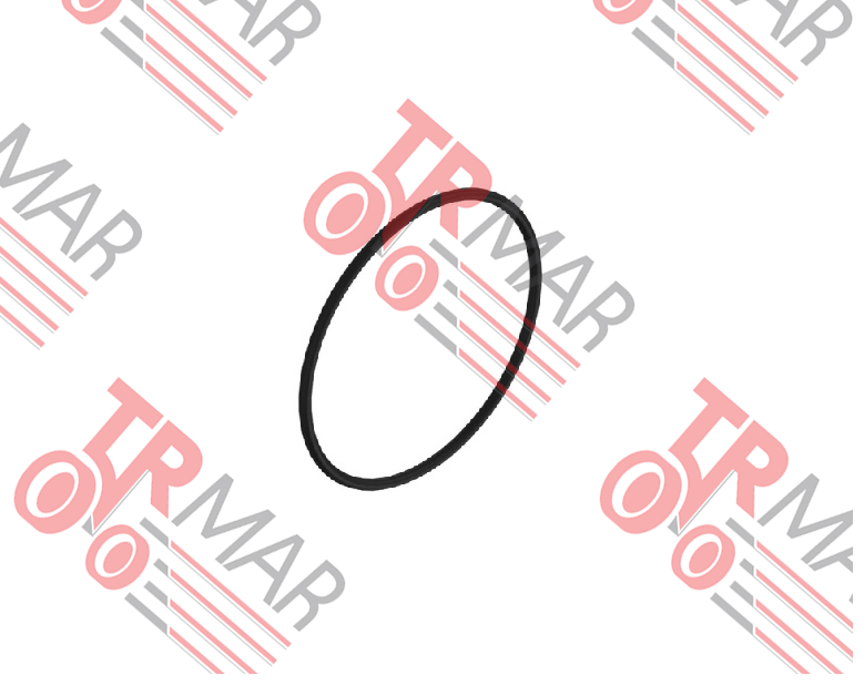 O-Ring