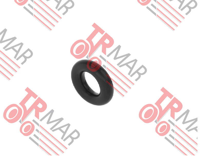O-Ring