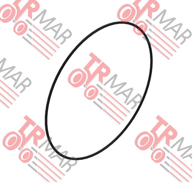 O-Ring