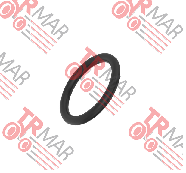 O-Ring