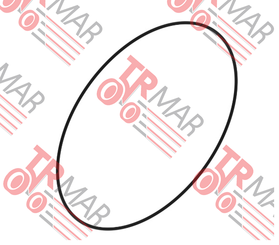 O-Ring