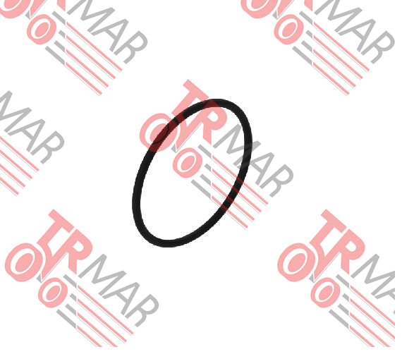 O-Ring