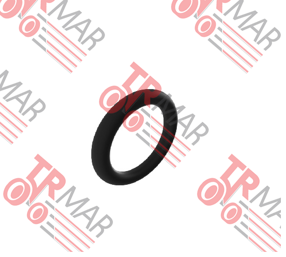 O-Ring