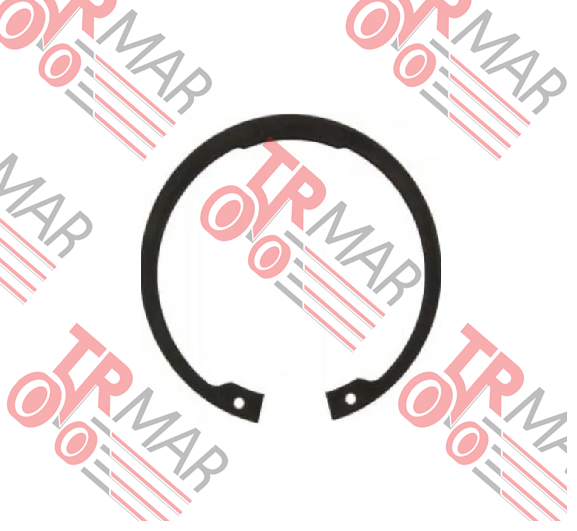 Snap Ring