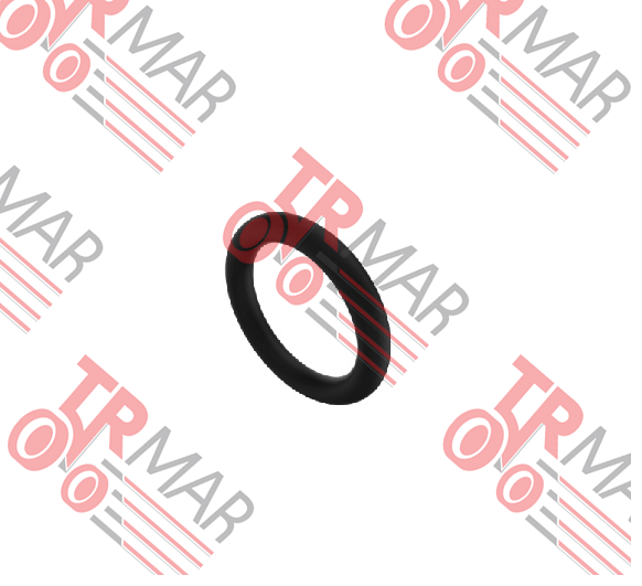 O-Ring
