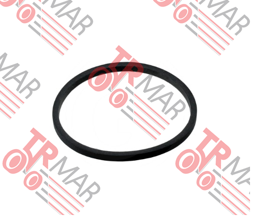 Oil Cooler Seal