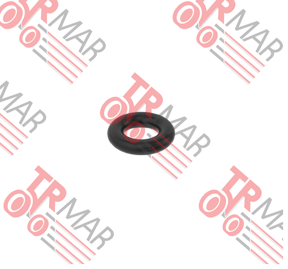 O-Ring