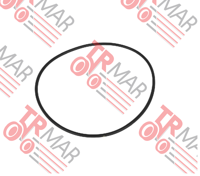 O-Ring