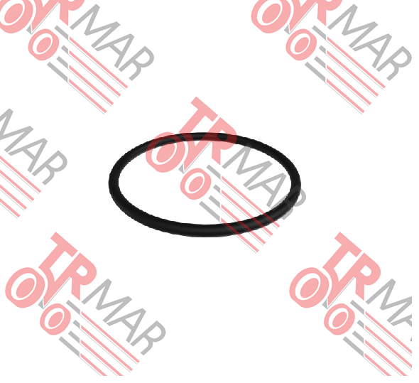 O-Ring