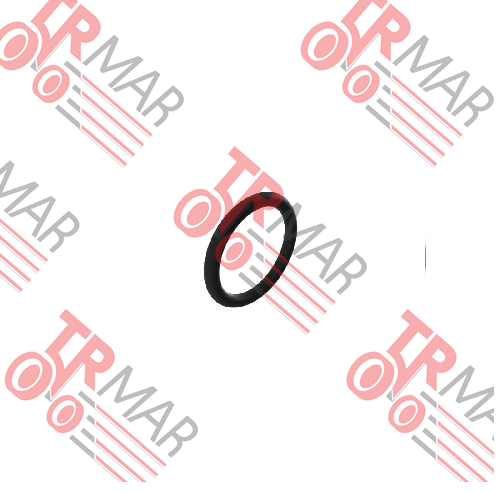 O-Ring