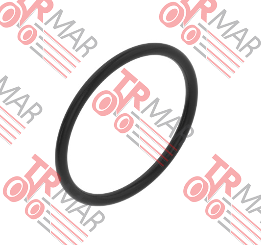 O-Ring