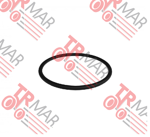 O-Ring