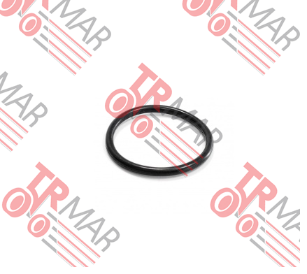 O-Ring