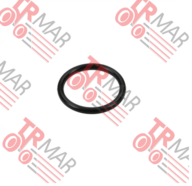 O-Ring
