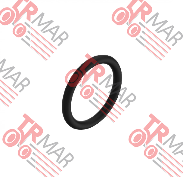 O-Ring