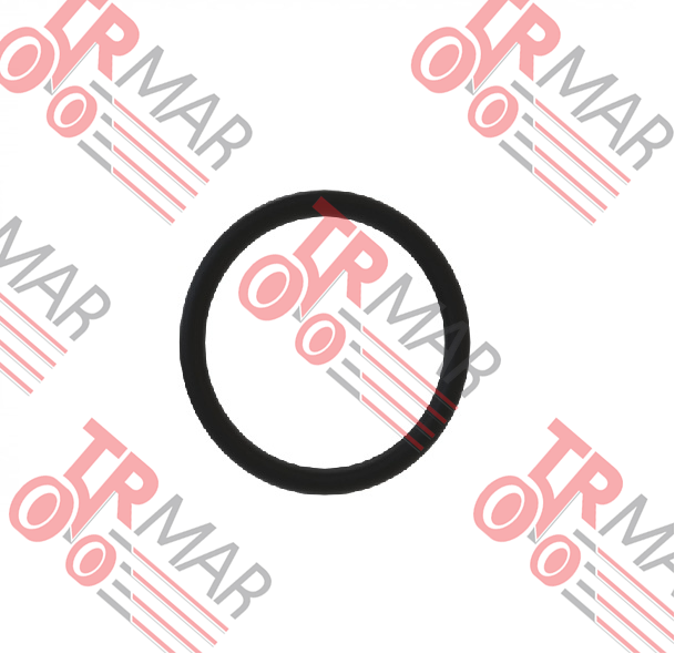 O-Ring