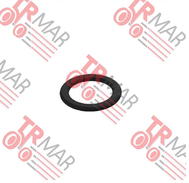 O-Ring