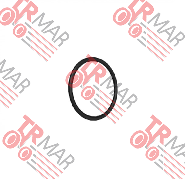 O-Ring