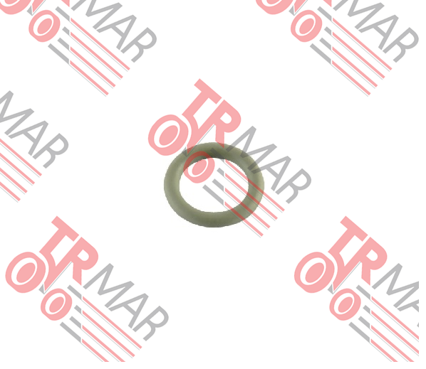 O-Ring