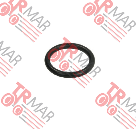 O-Ring