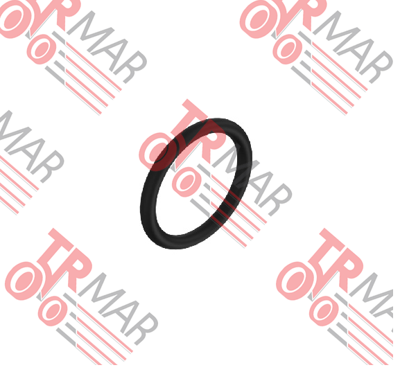 O-Ring