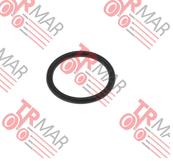 O-Ring