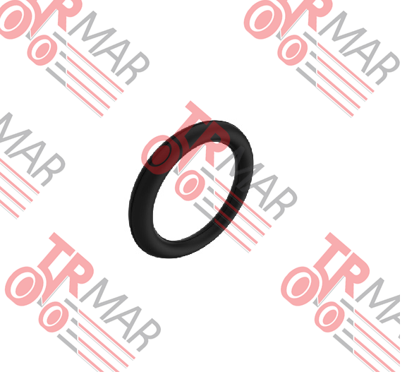 O-Ring