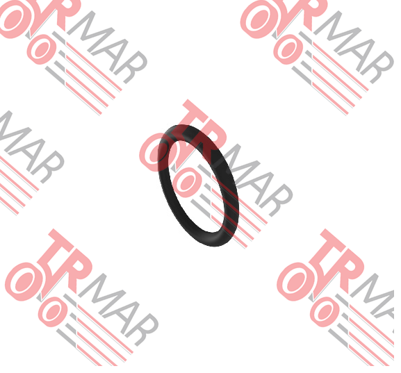 O-Ring