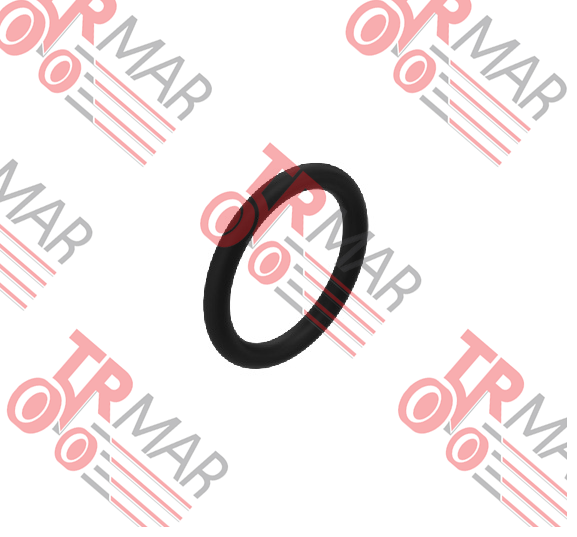 O-Ring