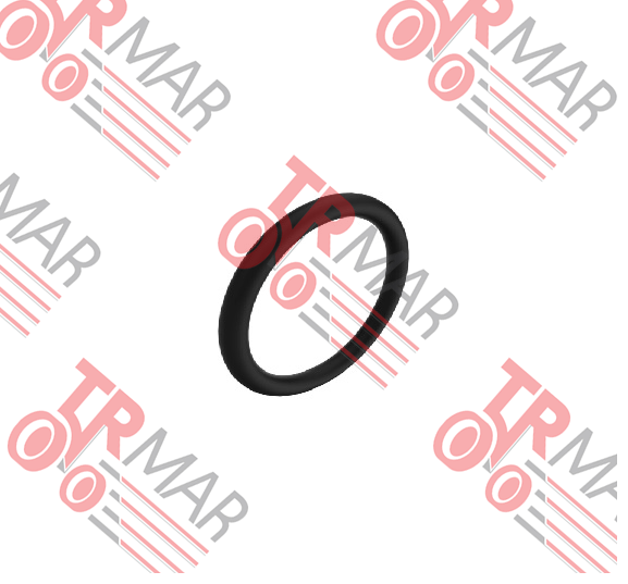 O-Ring