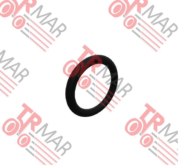 O-Ring