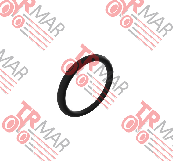 O-Ring