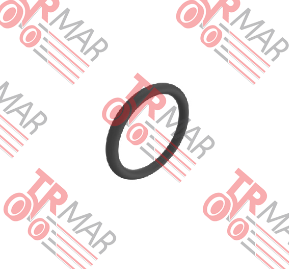 O-Ring
