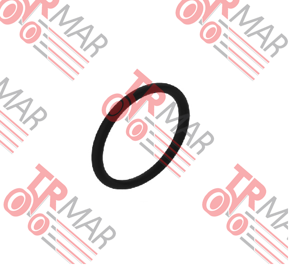 O-Ring