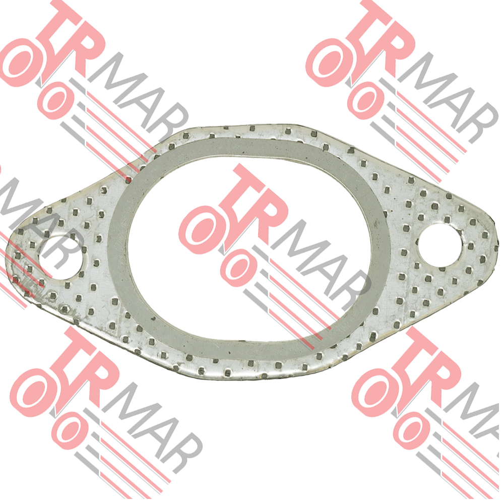 Exhaust Manifold Gasket