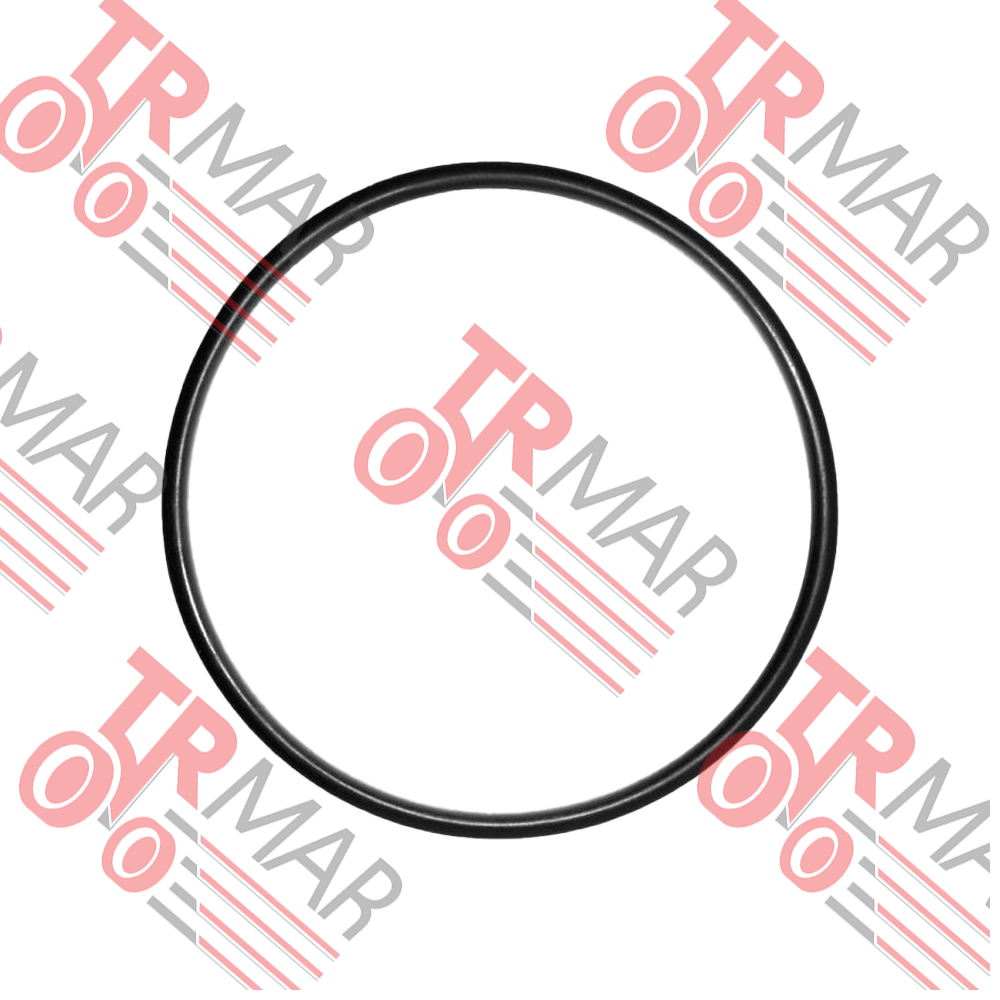 O-Ring